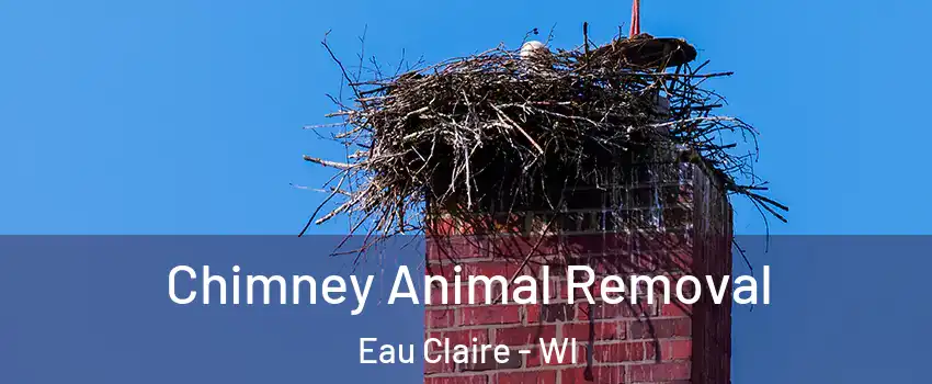 Chimney Animal Removal Eau Claire - WI