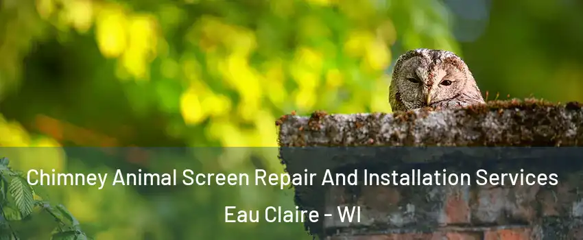  Chimney Animal Screen Repair And Installation Services Eau Claire - WI