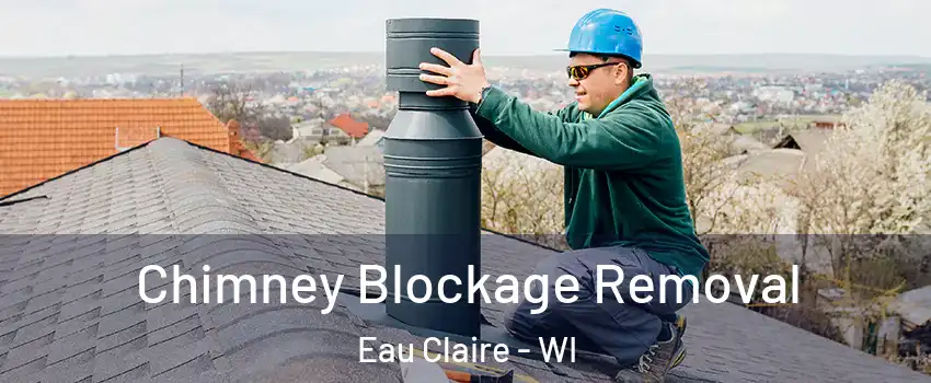  Chimney Blockage Removal Eau Claire - WI