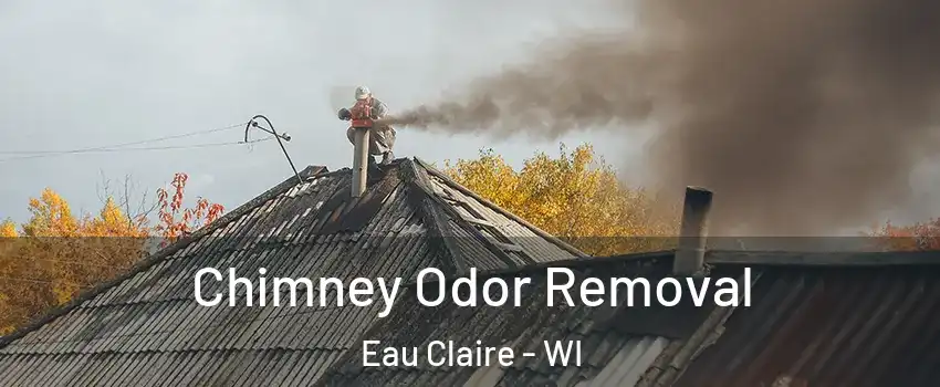  Chimney Odor Removal Eau Claire - WI