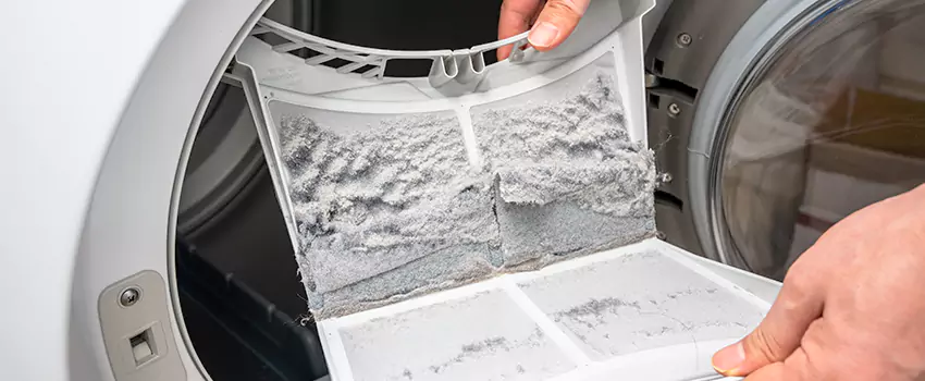Best Dryer Lint Removal Company in Eau Claire, Wisconsin