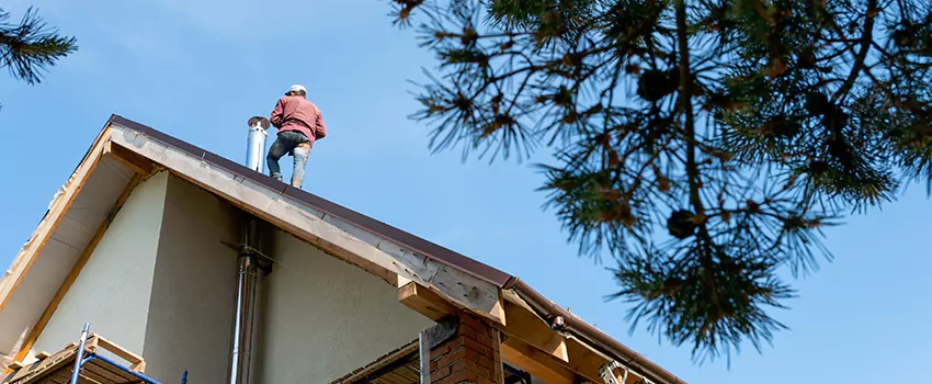 Birds Removal Contractors from Chimney in Eau Claire, WI