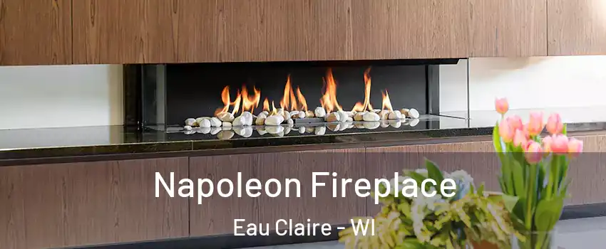  Napoleon Fireplace Eau Claire - WI